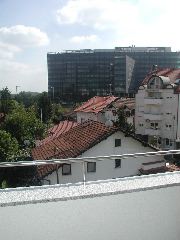 P1010048_1