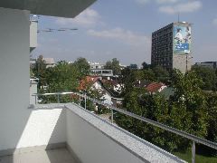 P1010049_1